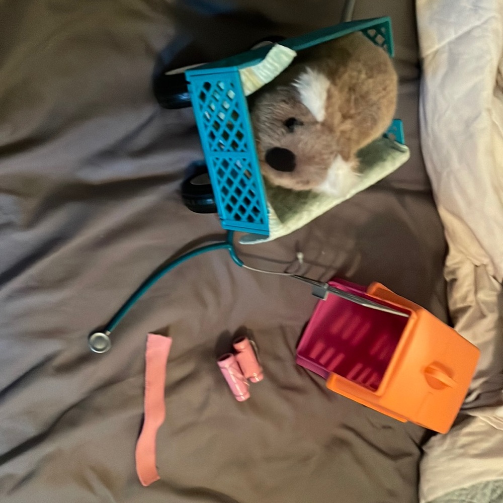 American girl vet set